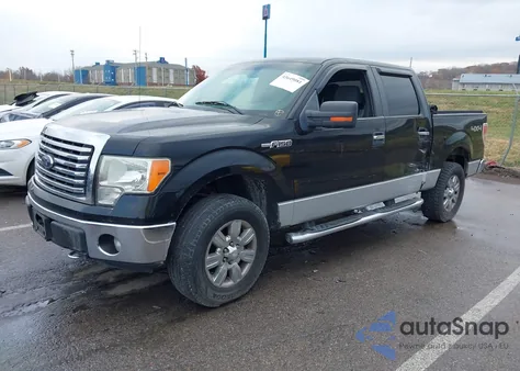 2011 Ford F-150 Xlt z USA, uszkodzony, nr VIN 1FTFW1EF1BFC76294